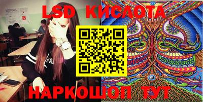 тгк Бийск