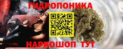 тгк Бийск