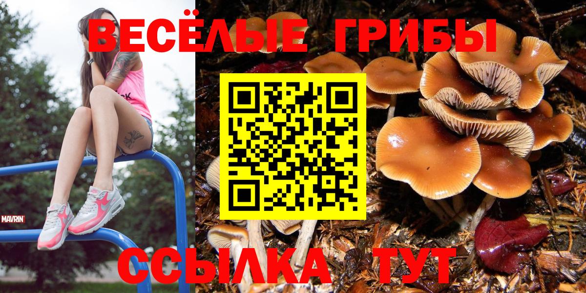 Псилоцибиновые грибы мухоморы Киров