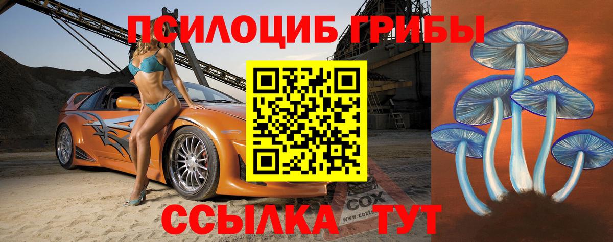 Киров  Галлюциногенные грибы мухоморы  Псилоцибиновые грибы Psilocybe  Вход с VPN 